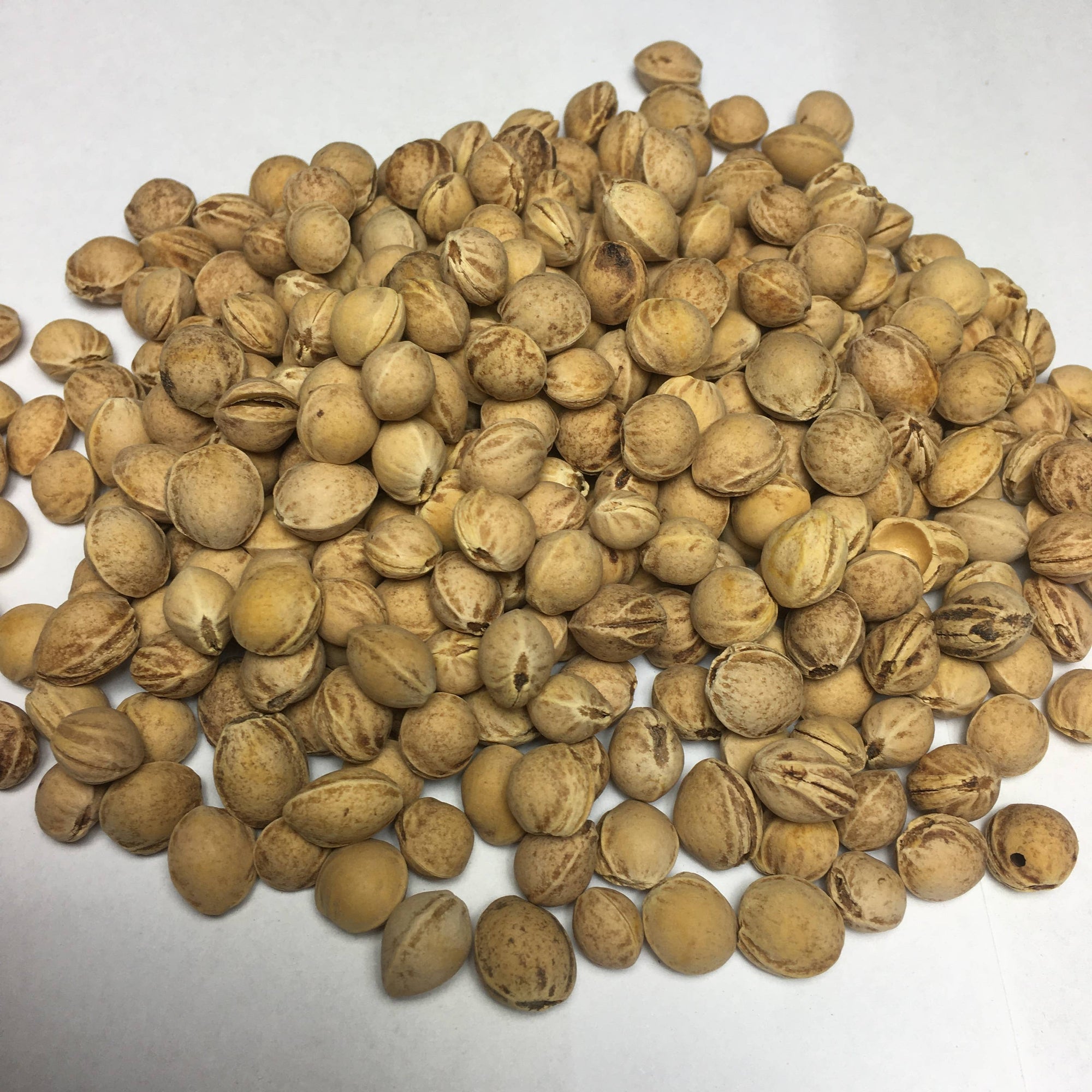 Bio Öko Kinder Mini Kissen "Maulwurf"/ MAUM-11: Bio Dinkelkörner/Lavendel Pat & Patty      NATURKINDCHEN