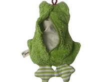 Bio Öko Kinder Mini Kissen "Frosch"/ FKM-5: Bio Dinkelkörner Pat & Patty      NATURKINDCHEN