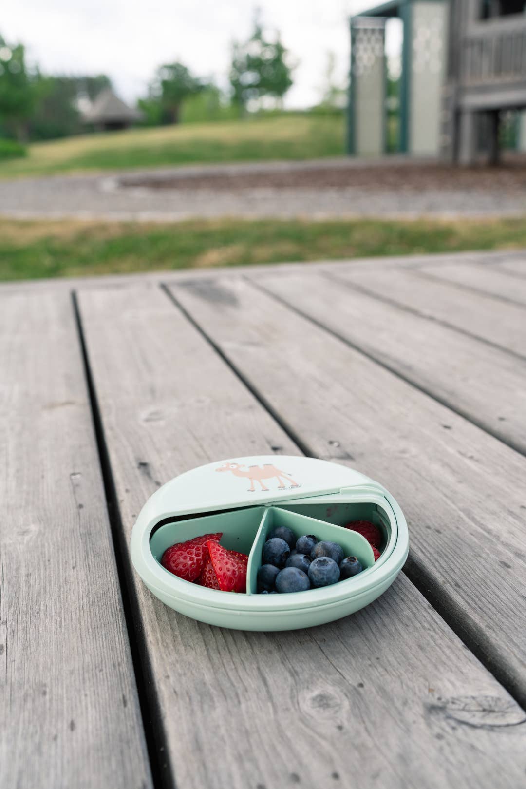 SnackDisc™ -Grün-Kamel Carl Oscar      NATURKINDCHEN