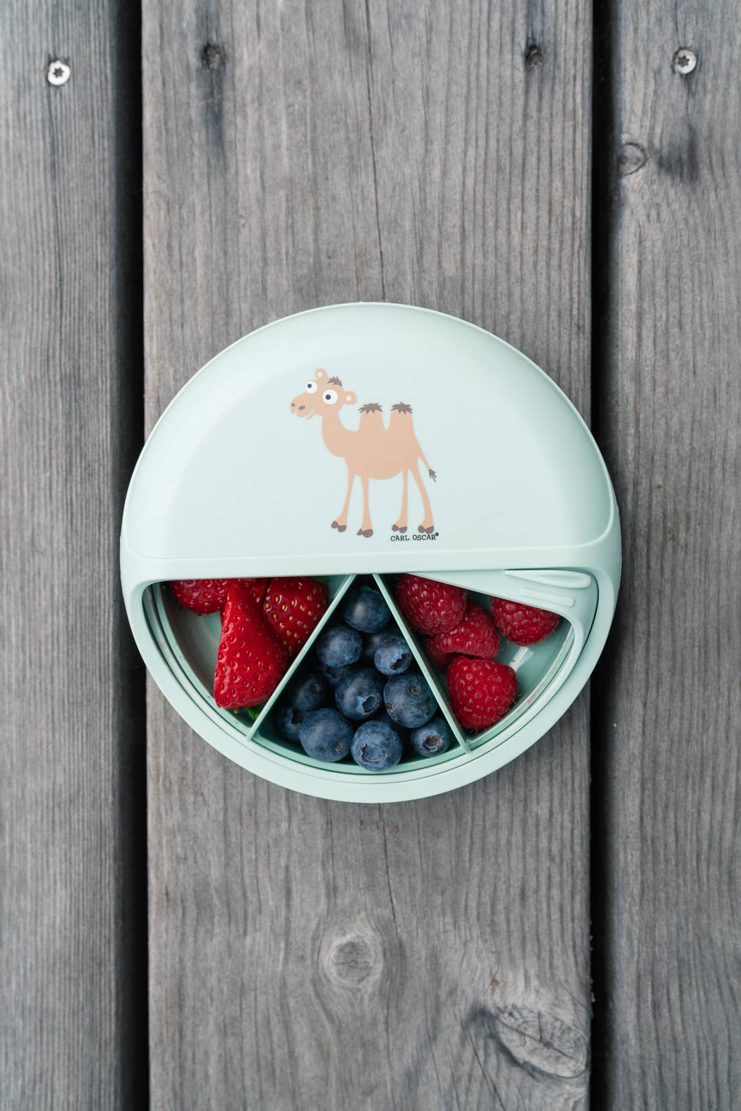 SnackDisc™ -Grün-Kamel Carl Oscar      NATURKINDCHEN