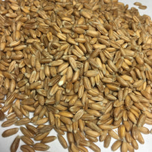 Bio Öko Kinder Mini Kissen "Frosch"/ FKM-5: Bio Dinkelkörner Pat & Patty      NATURKINDCHEN