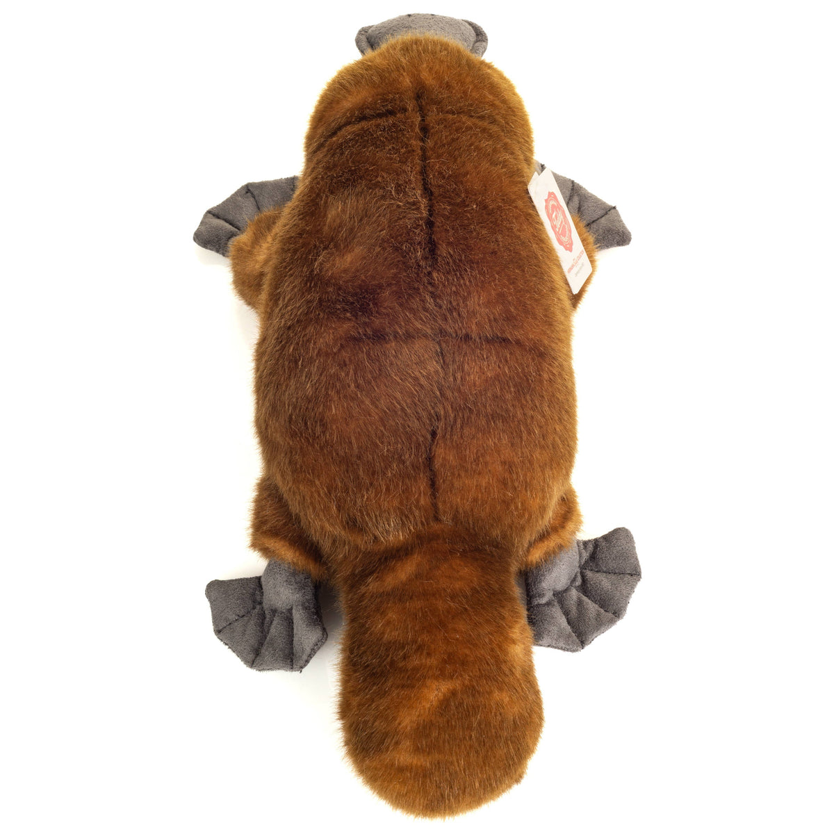 Schnabeltier 35 cm - Plüschtier - Stofftier Teddy Hermann      NATURKINDCHEN