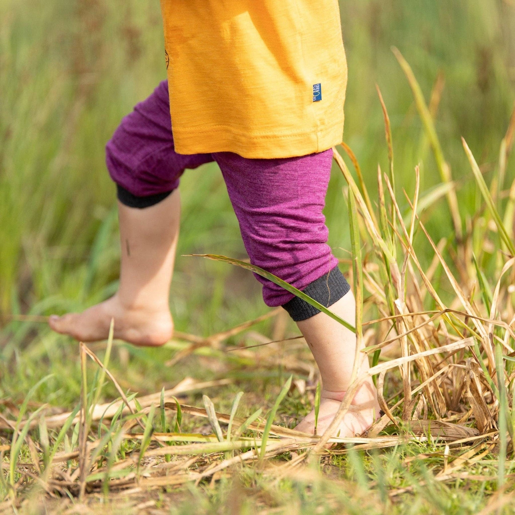 Hose zwetschke, Merinowolle & Seide (bio/GOTS): 50-56 Glückskind      NATURKINDCHEN