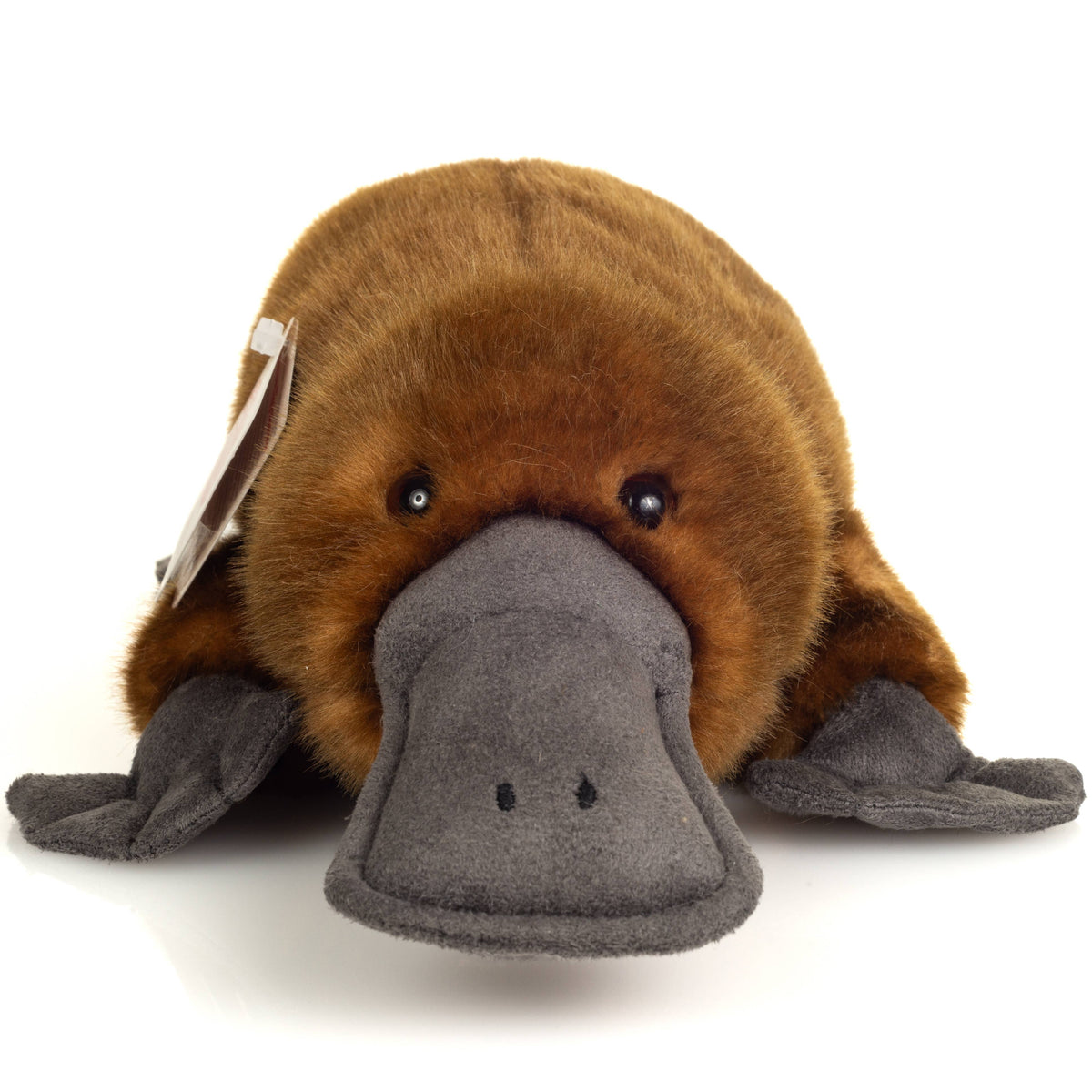 Schnabeltier 35 cm - Plüschtier - Stofftier Teddy Hermann      NATURKINDCHEN